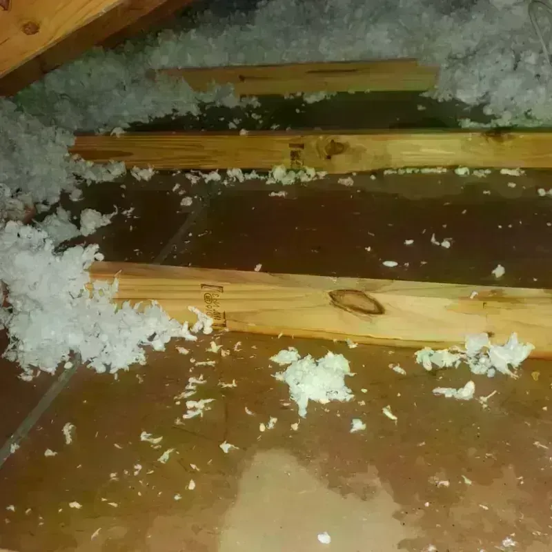 Attic Water Damage in Eldora, IA