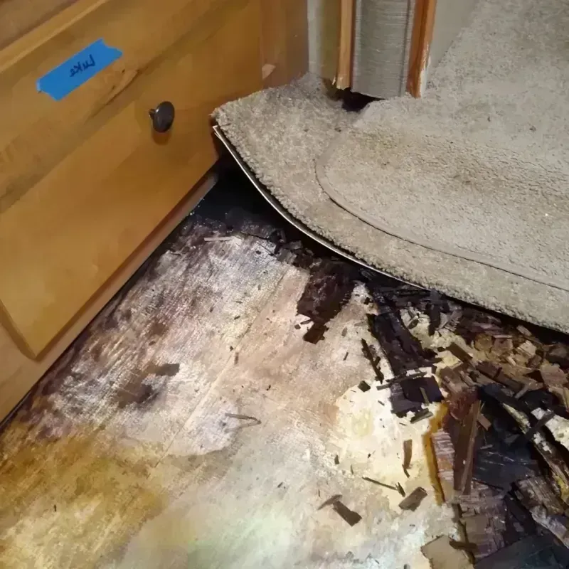 Best Wood Floor Water Damage Service in Eldora, IA